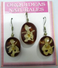 Colgante y pendientes de orquideas naturales